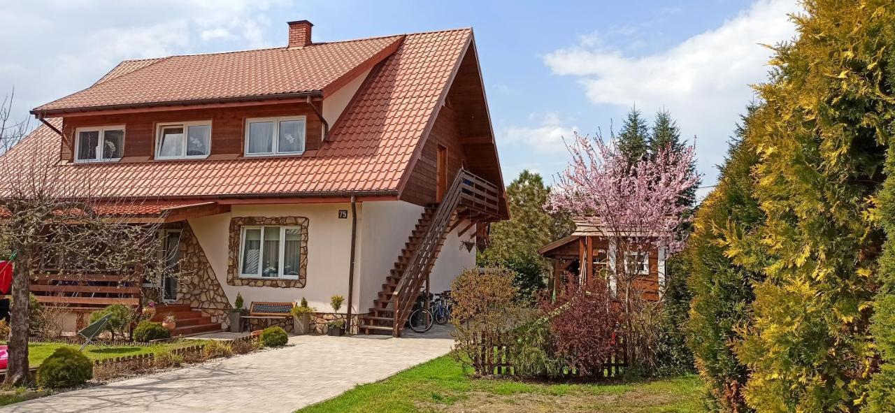 Rodzinny Zakatek "U Gluszkow" Bieszczady Myczkowce Esterno foto